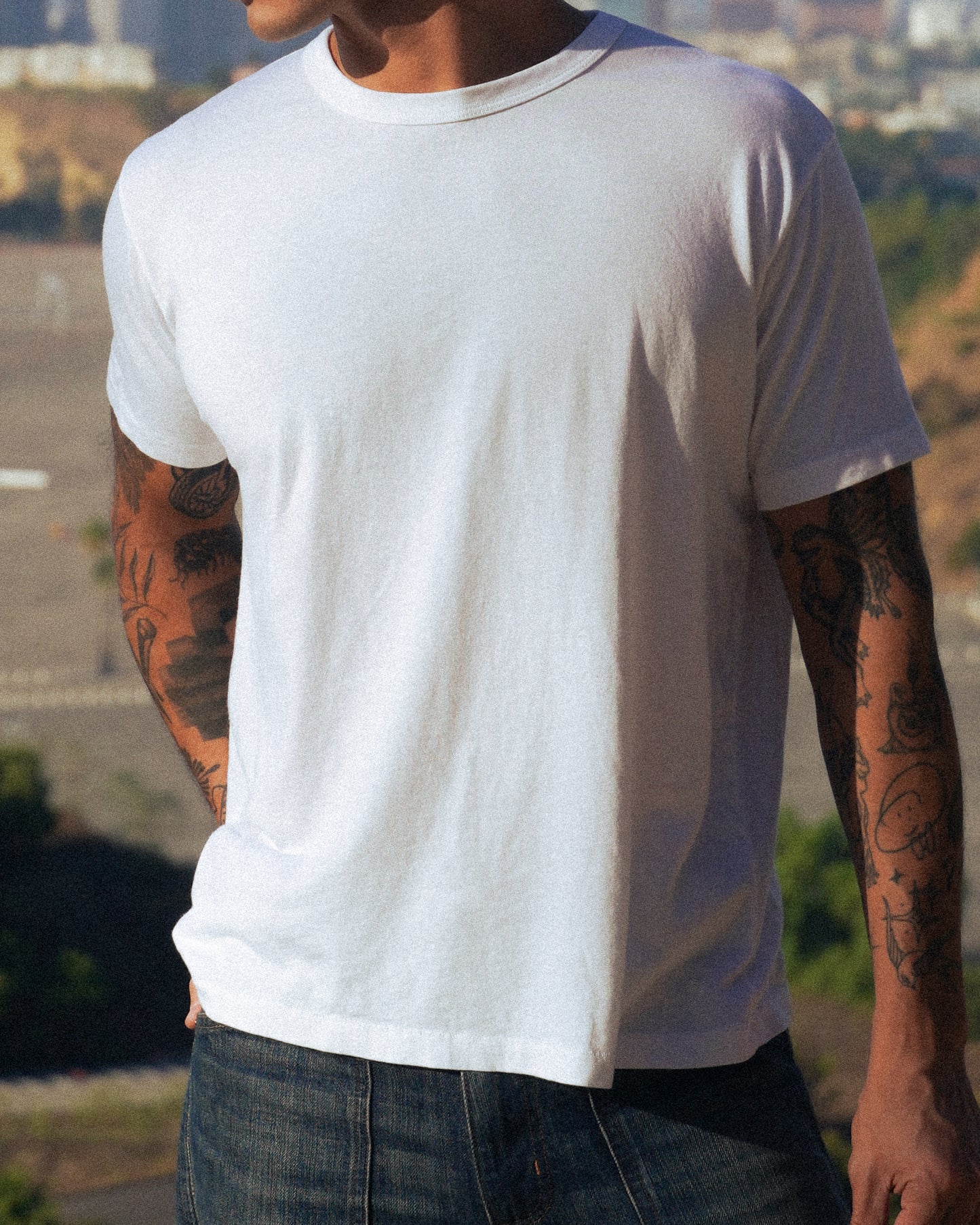 Standard Issue - White Modal